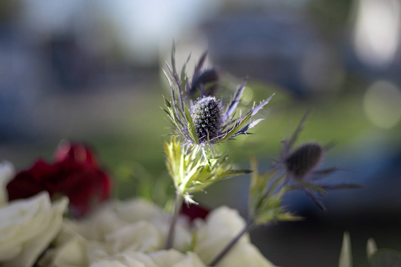 Elegant ivory and burgundy arrangement